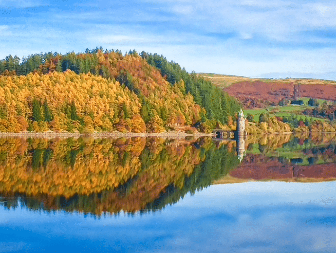 lake and autumnal trees